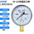 SYCIF YN100 径向耐震压力表1.6级精度铁镀外壳黄铜接头水气油压表 -0.1-0.15MPa