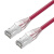 千天（Qantop）QT-WP12L 六类非屏蔽网络跳线 工程级CAT6类网线 1.5米纯铜成品网线红色