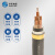 华实（HUASHI）YJV22 5*2.5mm² 国标铜芯低压电缆 1米