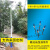 民族风路灯杆5米6米7米8米新农村维修特色彩绘路灯杆子 8米80w超亮路灯套