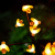 倍绿太阳能庭院灯户外草坪灯led花园装饰灯室外氛围灯景观灯仿真蜜蜂 10灯蜜蜂[2只装]