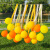 气球装饰春游野餐气球流苏装饰彩色背景户外公园儿童宝宝生日派对 A7玫粉系气球