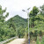 涵时尚 太阳能路灯6米新农村建设亮化工程项目LED灯高杆高亮农村公路 通用款太阳能路灯头(维修用)