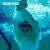 SWANS泳镜 日本进口游泳镜男高清防雾专业竞速女士比赛游泳眼镜 平光蓝白