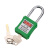 立采 安全挂锁 绝缘安全工程挂锁ABS塑料钢制锁梁工业塑料锁具 绿色 一个