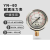 青岛布莱迪仪表YN-60耐震压力表气压表水压油压防震抗震轴向径向 0~2.5MPa(25公斤)