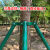 罗德力 金属支撑架固定器 镀锌钢管绿色树木防风 50管*厚度1.2mm长3m三角+抱箍