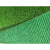 仿真草坪地毯垫塑料人工绿植户外围挡绿色幼儿园足球场人造假草皮定做 20mm升级春草(新国标)10平方