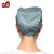 世霸（SHIBA） 防静电帽 防尘帽 电子食品喷漆纺织行业工作帽 小工帽灰色 1顶起购