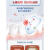 中华（Zhonghua）抗糖护龈净白修护感去糖化物牙渍牙膏90g/15 抗糖+牙膏1支 150g