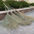 兰诗 YH603 环卫大扫把马路清扫竹扫把笤帚街道公园扫落叶除雪扫帚 竹杆把带叶5斤