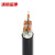 沈缆金环 WDZN-YJY-0.6/1KV-4*95+1*50mm² 低烟无卤阻燃耐火铜芯电力电缆 1米