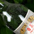 台岛（taidao）高粱酒 高度白酒 58度600ML 礼品酒 家常酒 600Ml单瓶