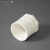 安赛瑞 PVC内丝直接（20个装）给水管件配件单内丝内螺内牙接头 白色 50mm 450060
