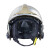 梅思安（MSA）F1XF消防头盔10166658 灭火抢险救援头盔 内置照明模组 镍色大号 定制拍前联系客服