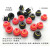 韩国VTEC VMECA真空盘vb20-3黑色丁晴红色硅胶VB20-S-M518MFO vb20-3黑色丁晴橡胶