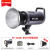 金贝LED摄影灯EF220BI双色温直播灯补光灯常亮视频影视微电影拍摄 H套单灯 ZF6变焦聚光筒轮廓