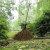 竹扫把农村老式竹丝扫帚笤帚户外庭院环卫通用大扫把扫院子 新五段圆扫把无叶 长17米