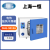 一恒电热恒温鼓风干燥箱烘箱实验室烤箱恒温小型灭菌消毒烘干箱 DHG-9620A(至250℃/620L)