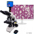 纽荷尔 专业研究级光学自动对焦生物显微镜数码测量观察生物切片高倍高清 S-Y600
