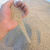 消防沙子河沙细沙花用救灾种植养花沙子多肉透气鱼缸底砂专业灭火 小鹅卵石(1-3mm)-30斤