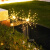 新款蒲公英太阳能户外灯庭院花园布置防水草地草坪灯阳台露台装饰 彩光-蒲公英-4只装