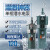 龙珠 清水多级潜水电泵农用高扬程深井抽水泵多级潜水泵 两叶轮 QD3-45/2-1.1（220V）