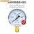 适用于于上海仪川仪表厂Y60 1.6MPA普通压力表气压表水压表 定制 Y-60 0-6MPA
