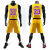 公子雪 詹姆斯球衣篮球服詹姆斯球衣詹姆斯6号球衣套装男女比赛球服一套黑曼巴湖人队23号短袖篮球服15 詹姆斯23号紫色短袖套装 XL(建议168-175)