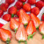 【顺丰发货】四季草莓新鲜水果烘焙蛋糕奶茶店商用酸草莓鲜果双流草莓 1800g【6盒24粒/盒】