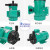 申亿莱 MP磁力化工泵氟塑料耐酸碱耐腐蚀微型磁力驱动循环水泵 MP-6R直插口220V