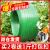 PET塑钢打包带绿色1206 1606 1608 1910手工塑料捆绑带净重10公斤 1910-400米-10公斤