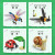 开智（KAZI）儿童拼装积木玩具小颗粒女孩昆虫家族动物男孩拼插模型小学生礼物 蚂蚁（91颗粒）