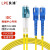 良浦 电信级单模万兆光纤跳线 单模双芯Φ2.0（LC-SC，9/125）25米 光纤线尾纤跳纤 NG-2LC-SC-S25