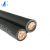 卓众 电线电缆BVR1*2.5 平方家装多股铜芯软线 双色100米