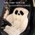 香芋谷色可爱动物包围毛绒椅垫坐垫卡通熊猫小熊一体椅子坐垫 海狮-加热 宽42x深45x高45x厚8cm
