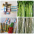 定制全自动小型OPP束带机蔬菜捆扎机捆菜机火腿肠卡片纸盒包装机 SD-201束带机(内框205*165)