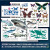 【正版包邮】DK儿童图解百科全书 自然生命 6-12岁dk系列儿童百科全书