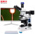 纽荷尔 电子视频检测显微镜 J-E98  高清成像 