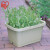 爱丽思（IRIS）阳台菜盆家庭蔬菜种菜盆专用箱室内长条花盆塑料种植 【2个装】深型500绿色