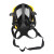 霍尼韦尔1710397Pano呼吸器全面罩防雾防尘异味工业用面罩1个装