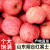 正宗烟台栖霞红富士苹果脆甜冰糖心条纹红皮产地直发整箱批发 3斤 75mm（含）-80mm（不含)