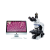 定制奥林巴斯显微镜CC1 正置生物体视显微镜三目显微镜 奥林巴斯CKX41