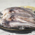 富海锦鲜冻鱿鱼头鱿鱼须400g 3-4只 火锅烧烤食材 国产海鲜水产