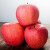 典西 马栏红苹果陕西红富士苹果 旬邑苹果9枚80-85mm 特大苹新鲜应季现摘水果 礼盒装送人