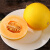 甘肃民勤黄金蜜瓜 2粒装 单果1-1.5kg 黄河蜜瓜 沙漠甜瓜 新鲜水果