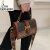 袋鼠（KANGAROO）女包包夏季新款洋气手提包包女韩版时尚小方包质感单肩斜挎女包 棕色