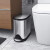Simplehuman 厨房卫生间不锈钢脚踏板式垃圾桶分类4.5/6/10 L 瑕疵-10L白色蝴蝶 侧面凹痕