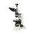 彼爱姆 BM-61XCD 偏光显微镜  三目