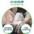 百得（Pattex）AAMS PLUS-T醇型防霉玻璃胶密封胶防水中性硅酮胶马桶淋浴房美容胶收边胶结构胶 半透明1支